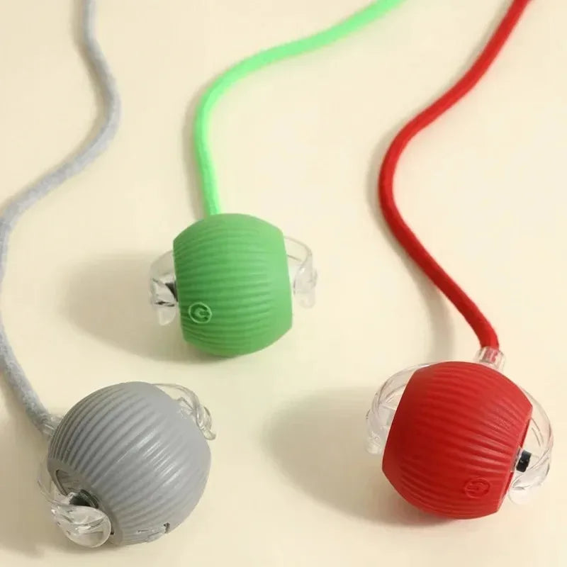 Dog Interactive Ball Toy Automatic Rolling - ProPawPet.com