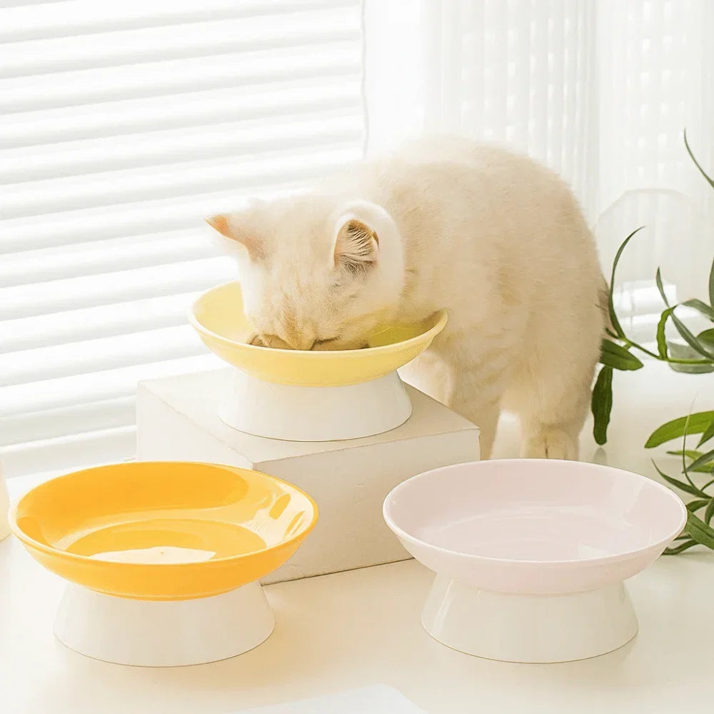 Creative Ceramic Cat Bowl Cute Large - ProPawPet.com