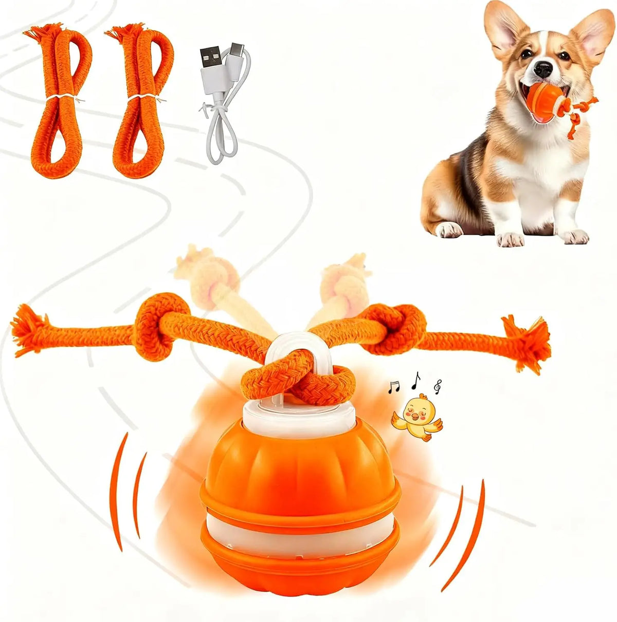 Interactive Dog Toy Ball with Rope - ProPawPet.com