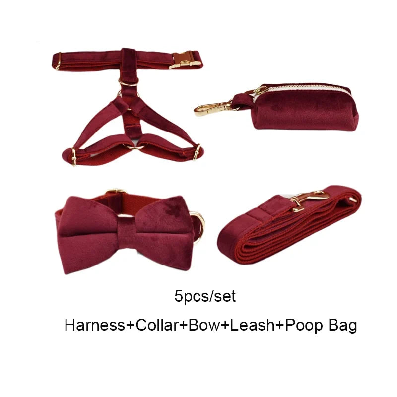 Red Wine Velvet Dog Collar And Leash Set For - ProPawPet.com