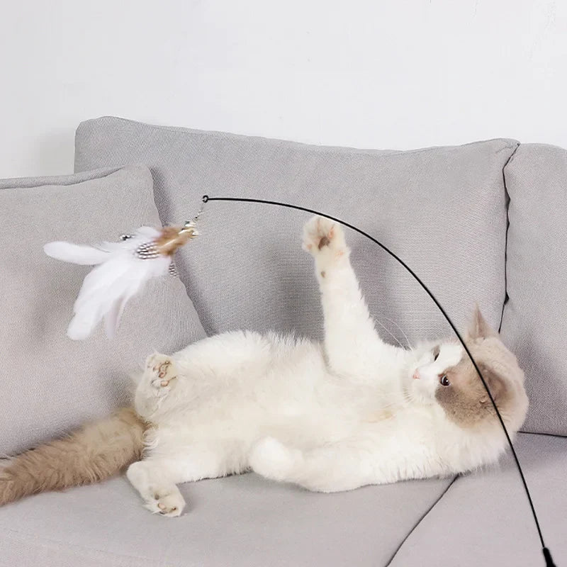 Suction Cup Cat Teaser Stick Bite Resistant - ProPawPet.com