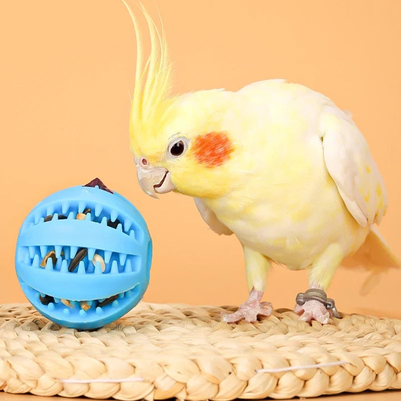 2Pack Bird Foraging Toys Parrot Chew Treat - ProPawPet.com