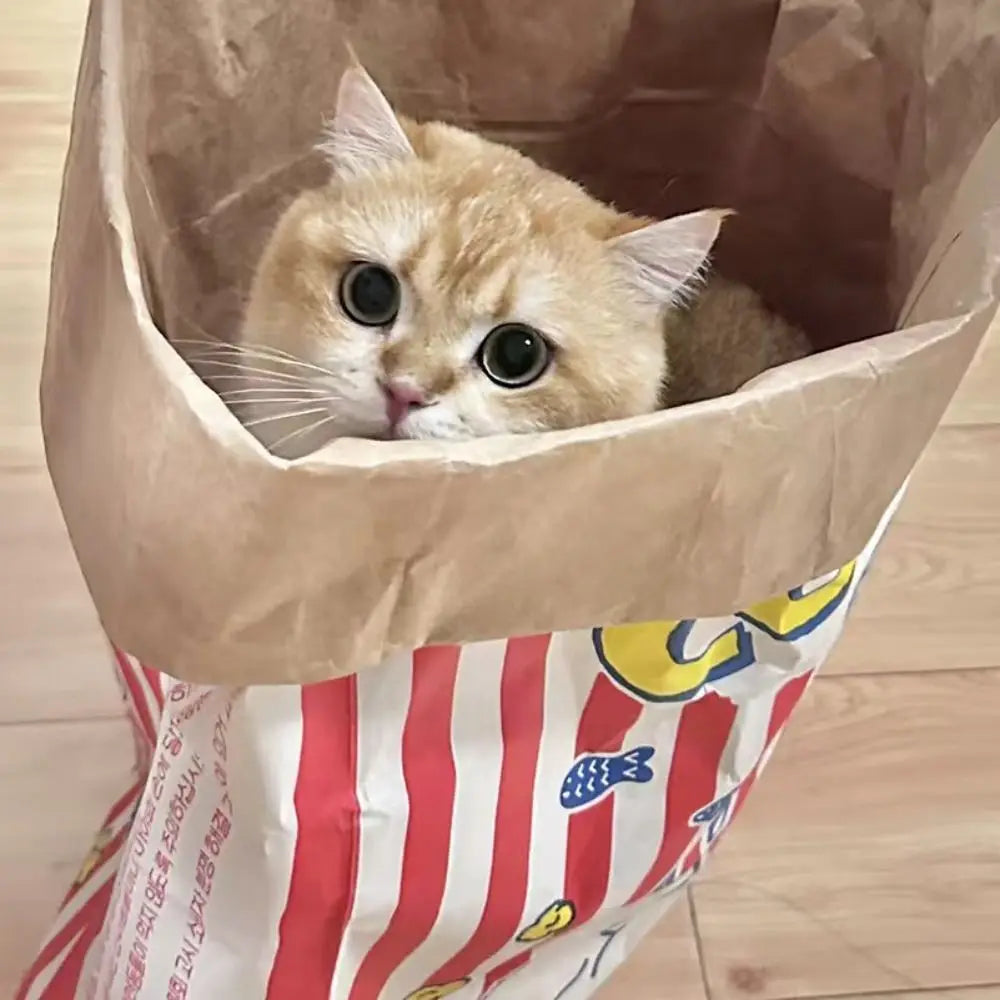 Creative Decompression Popcorn Paper Bag - ProPawPet.com