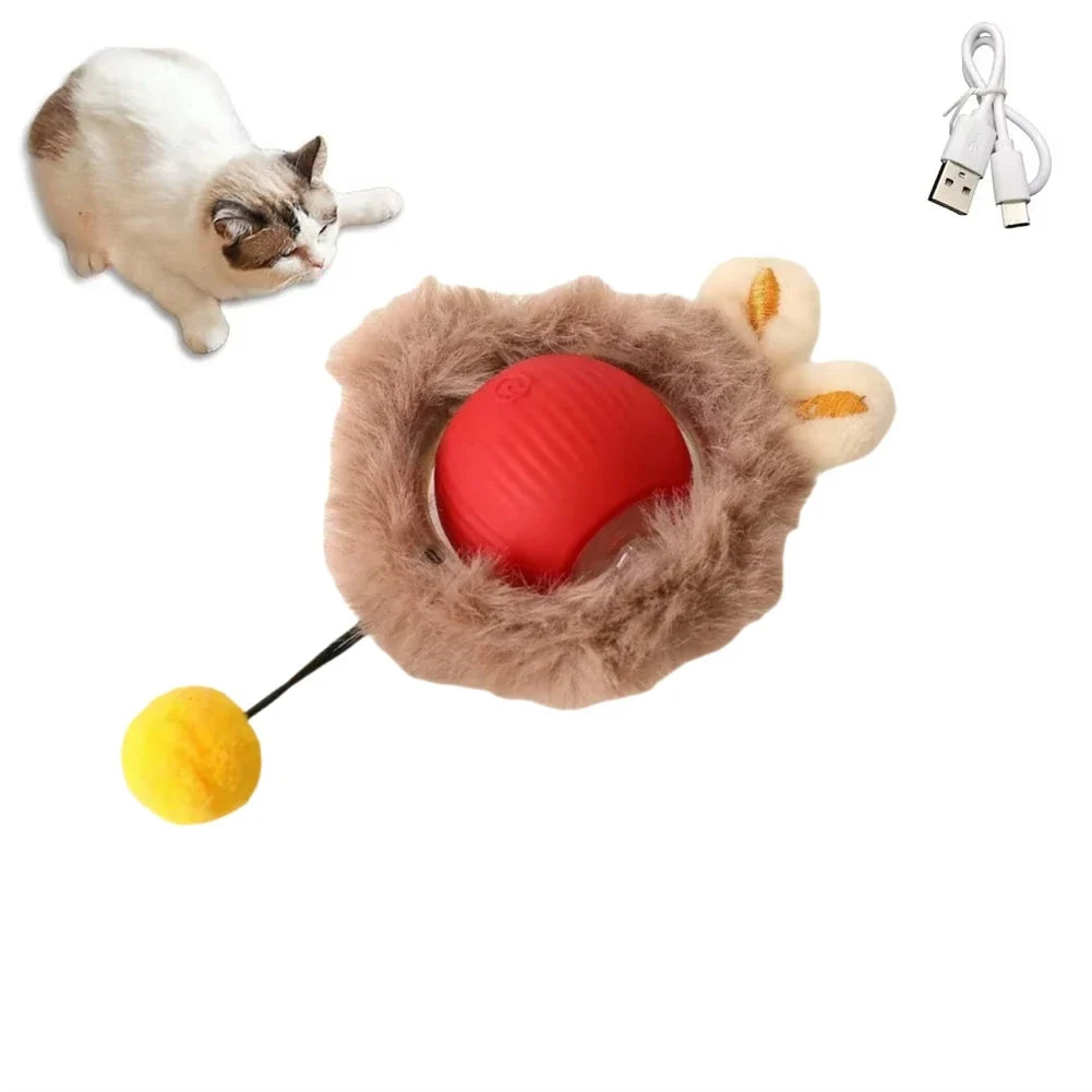 Rechargeable 1 Interactive Cat Toys Ball – Cat Supplies