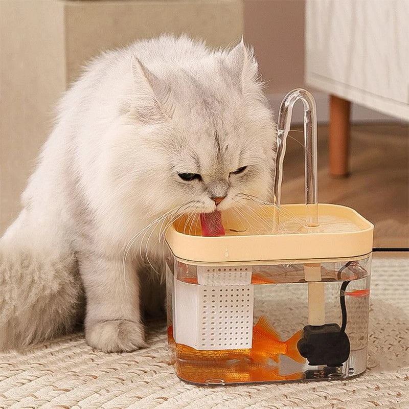 Transparent Cat Drinking Fountain Automatic - ProPawPet.com
