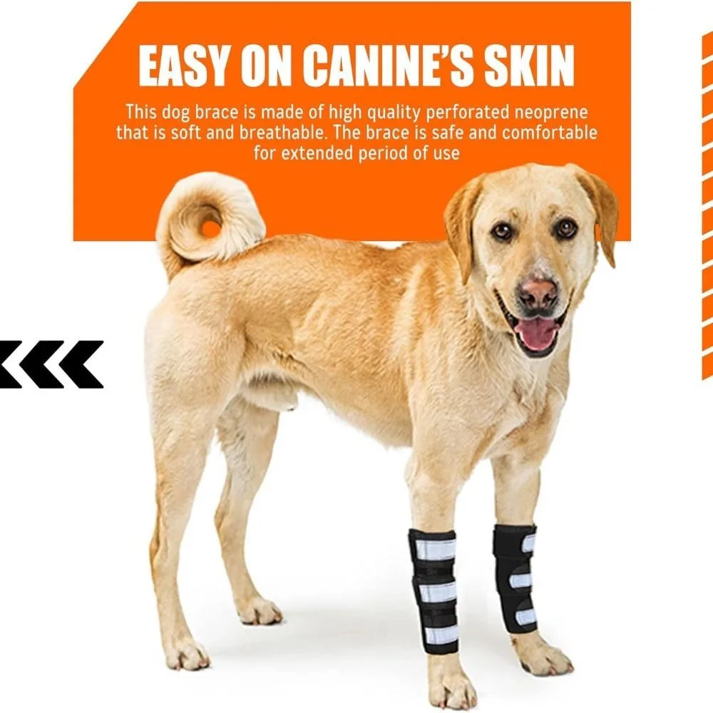 1PC Lightweight PC Strips Dog Front Leg - ProPawPet.com