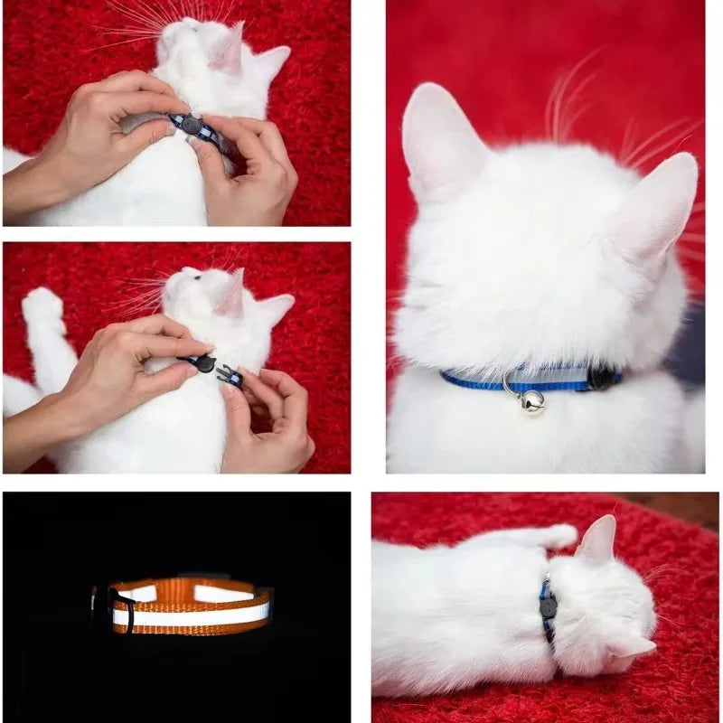 Cat Collar Colors Reflective Breakaway Neck - ProPawPet.com