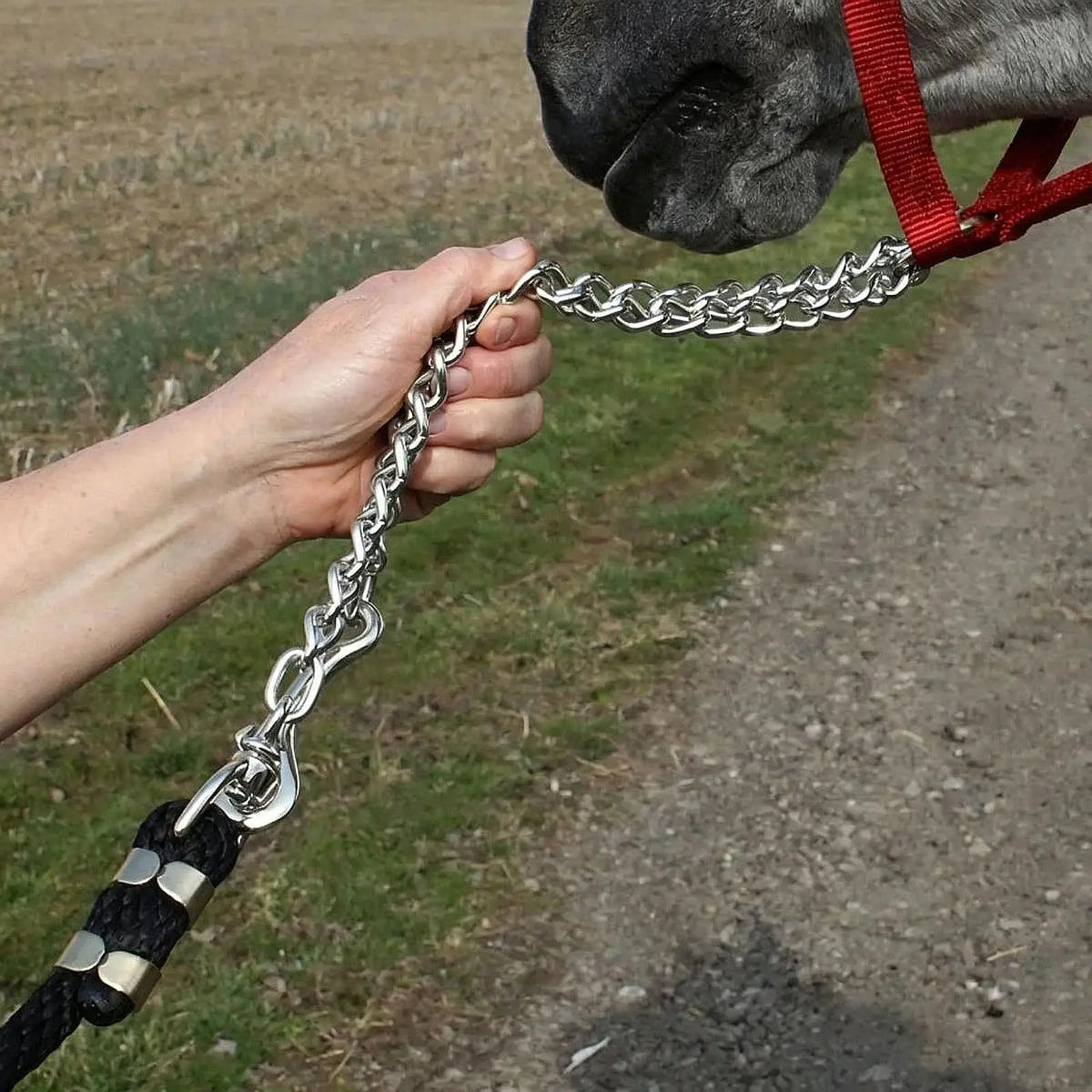 Lead Rope Horse Chain Solid Bolt Snap - ProPawPet.com