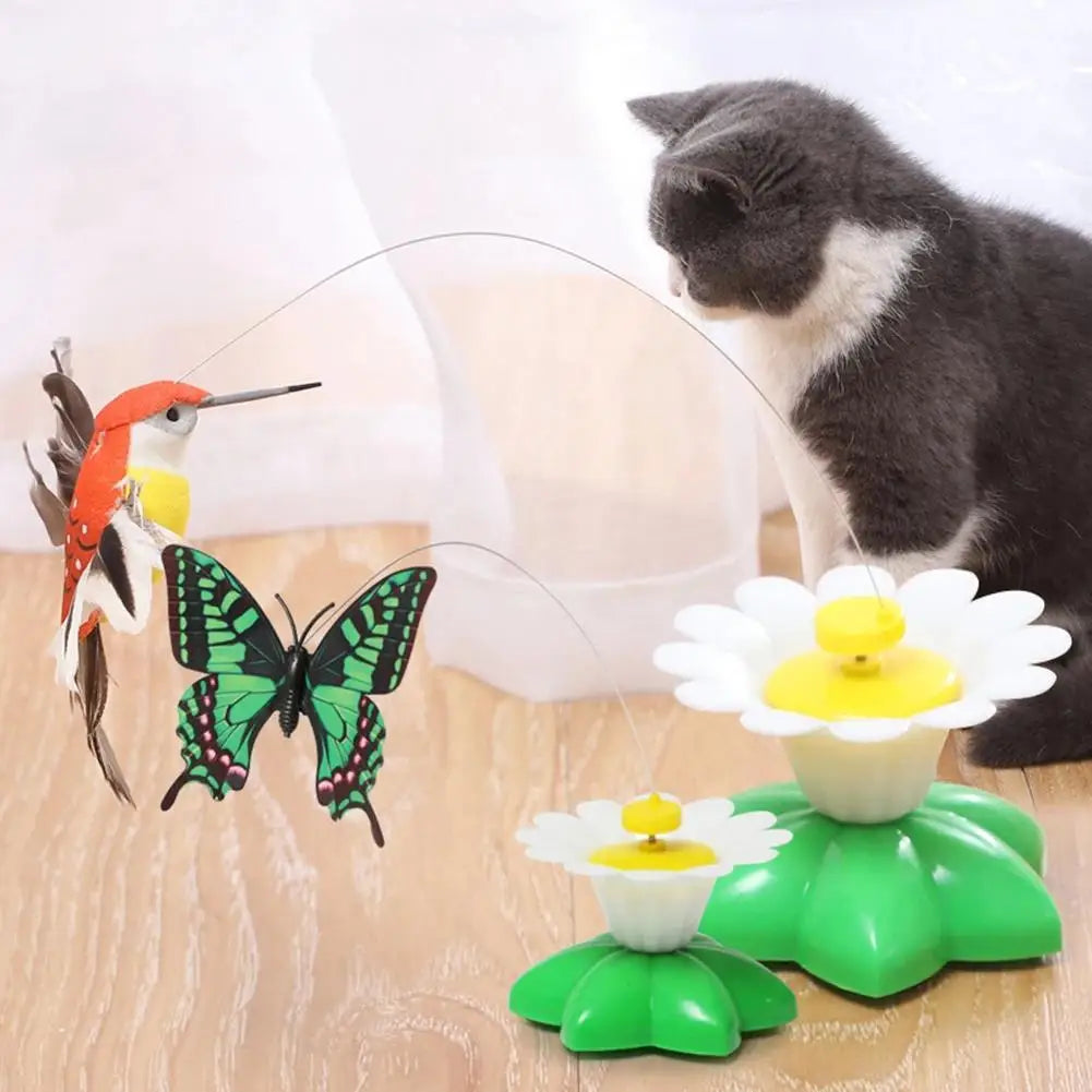 Rotating Electric Butterfly, Hummingbird And - ProPawPet.com
