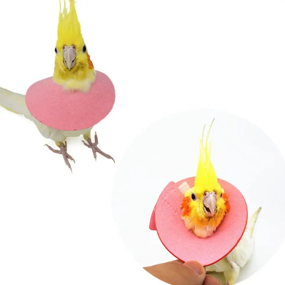 Adjustable Bird Accessories Anti-bite - ProPawPet.com