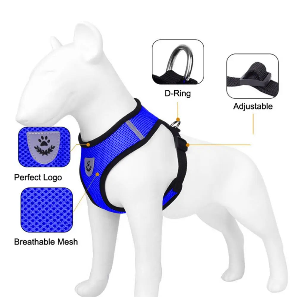 Safe Premium Adjustable Cat Harness and - ProPawPet.com