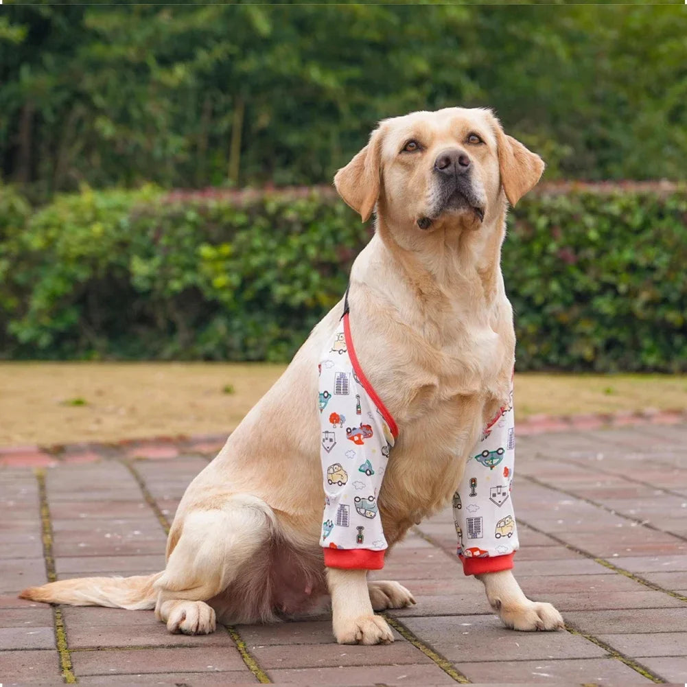 Pet Knee Pads for Joint Injury Recovery Legs - ProPawPet.com