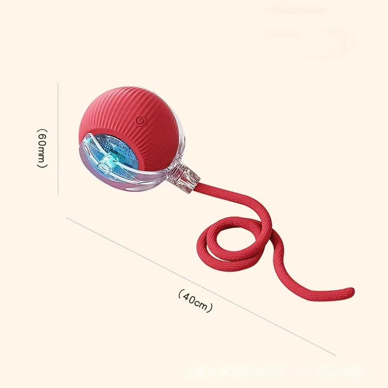 Rechargeable Dog Interactive Ball Toy – Dog Supplies