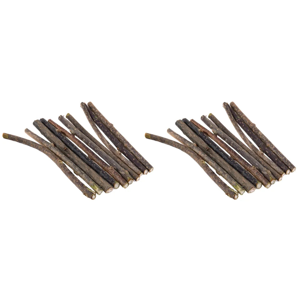 10- Natural Cat Catnip Toy Kitten Molar Chew Stick Pet – Cat Supplies