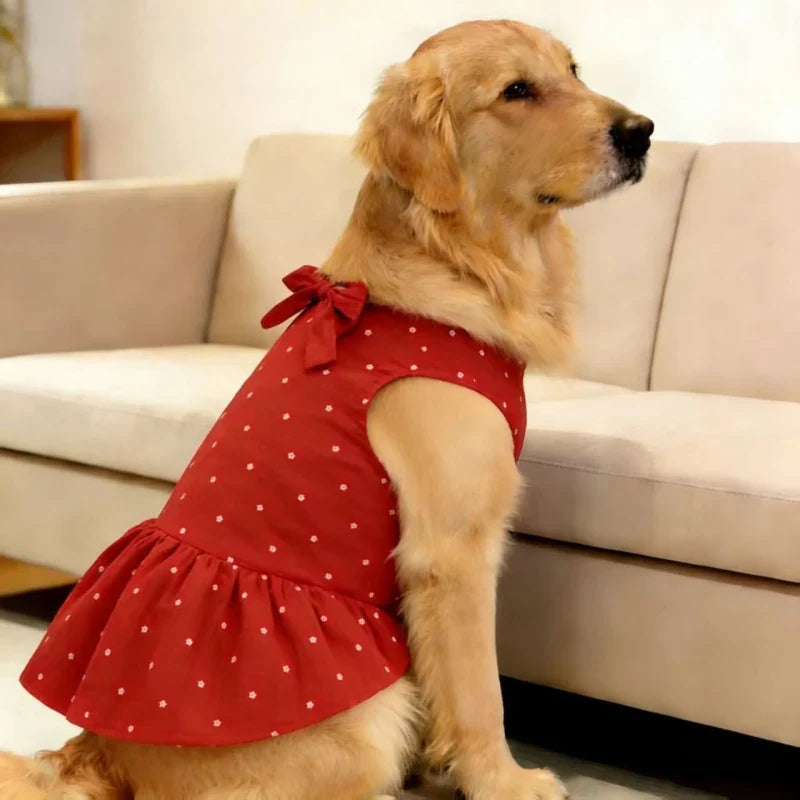Golden Retriever Clothing Dress Summer Dog - ProPawPet.com
