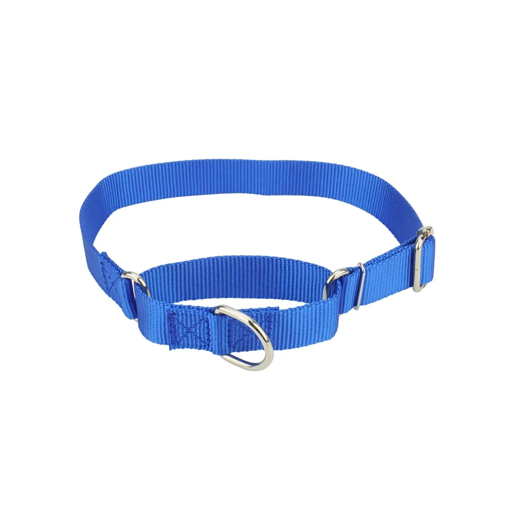 Martingale Collar for Dogs,Dog Collar with - ProPawPet.com