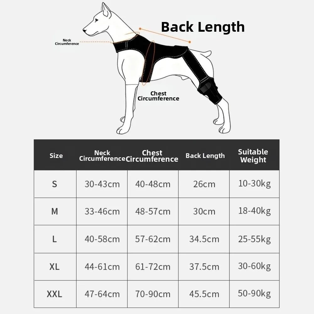 Adjustable Dog Rear Leg Brace Reflective - ProPawPet.com