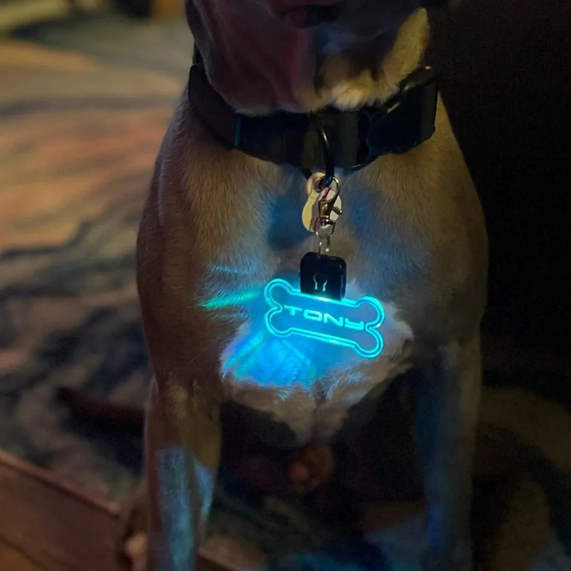 Customized Laser-engraved Acrylic LED Pet ID Tag – Interactive & Puzzle Dog Toys