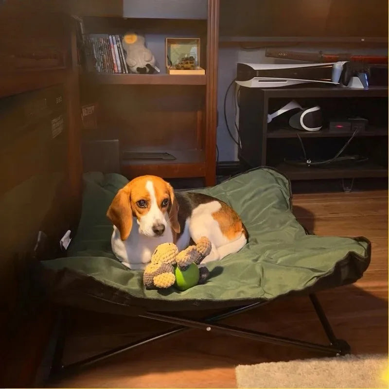 Outdoor Camping Foldable Pet Bed,Comfortable - ProPawPet.com