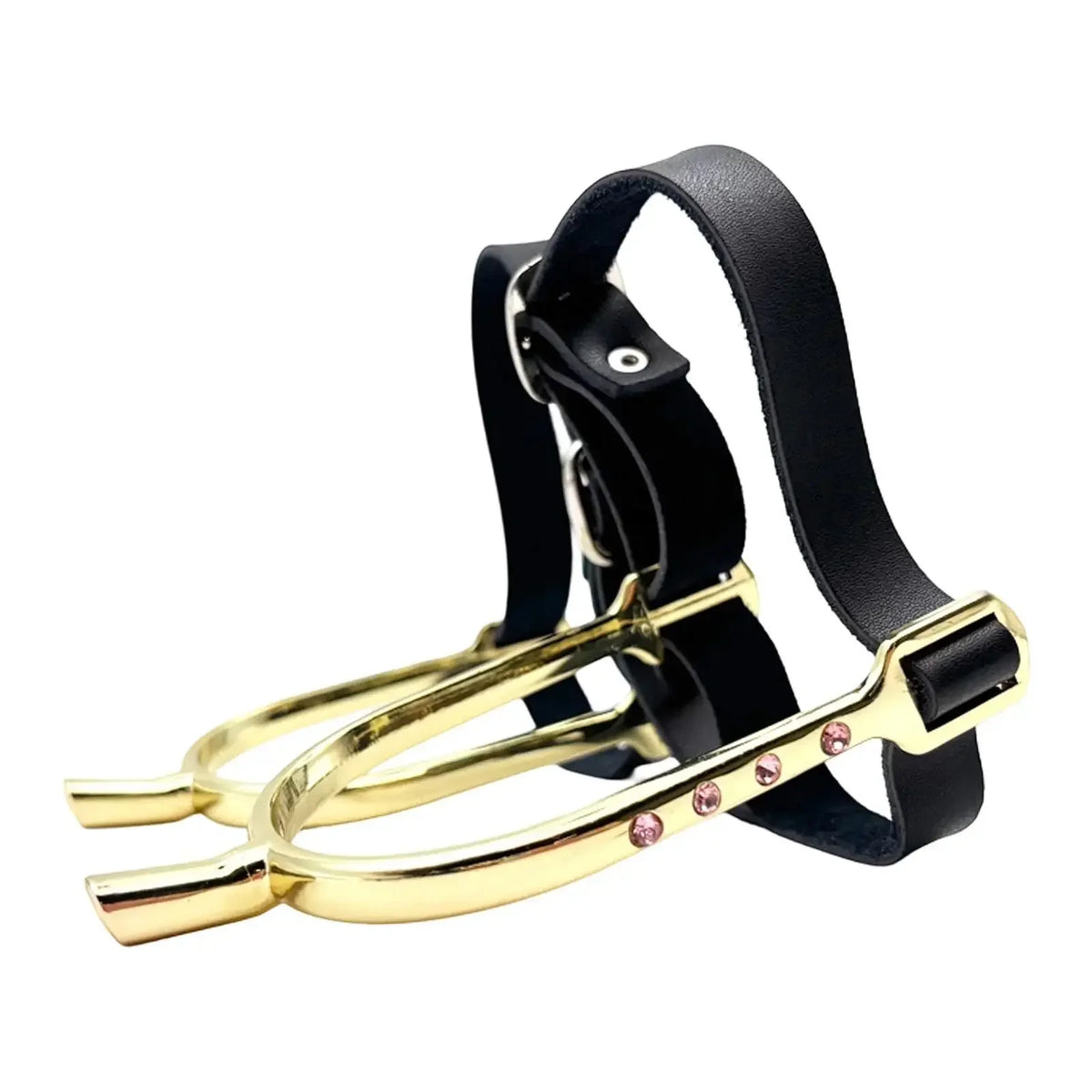 Decorative Rhinestone Horse Spurs with - ProPawPet.com