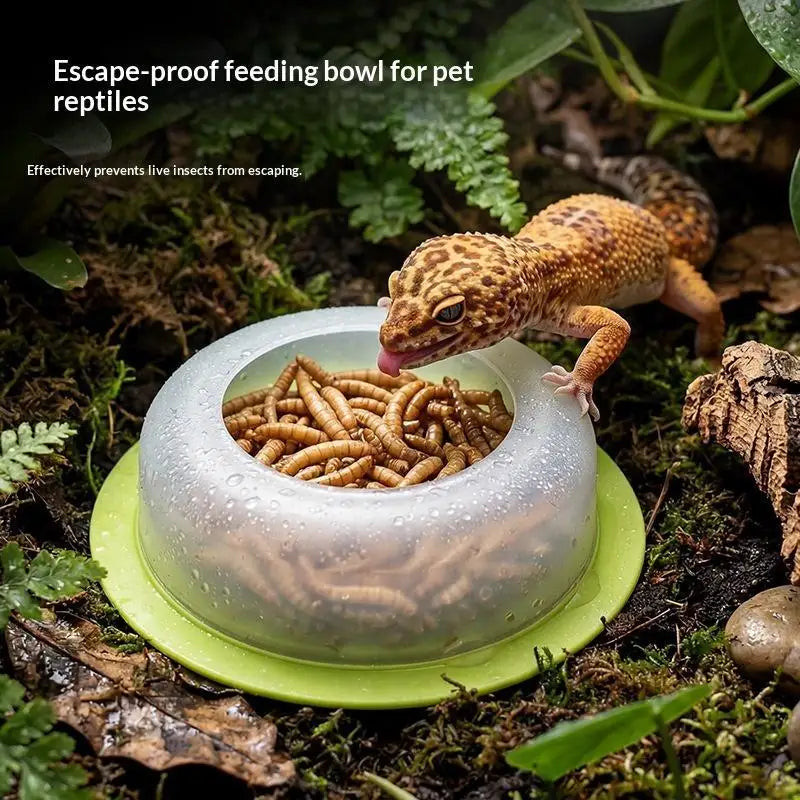 1Pcs For Lizards Geckos Snakes Turtles - ProPawPet.com
