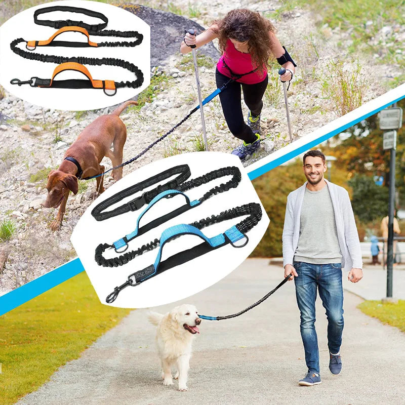 Double Elastic Reflective Running Leash - ProPawPet.com