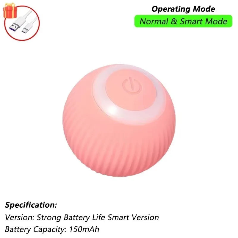 Indoor Interactive Birds Toy for Cat Chasing - ProPawPet.com
