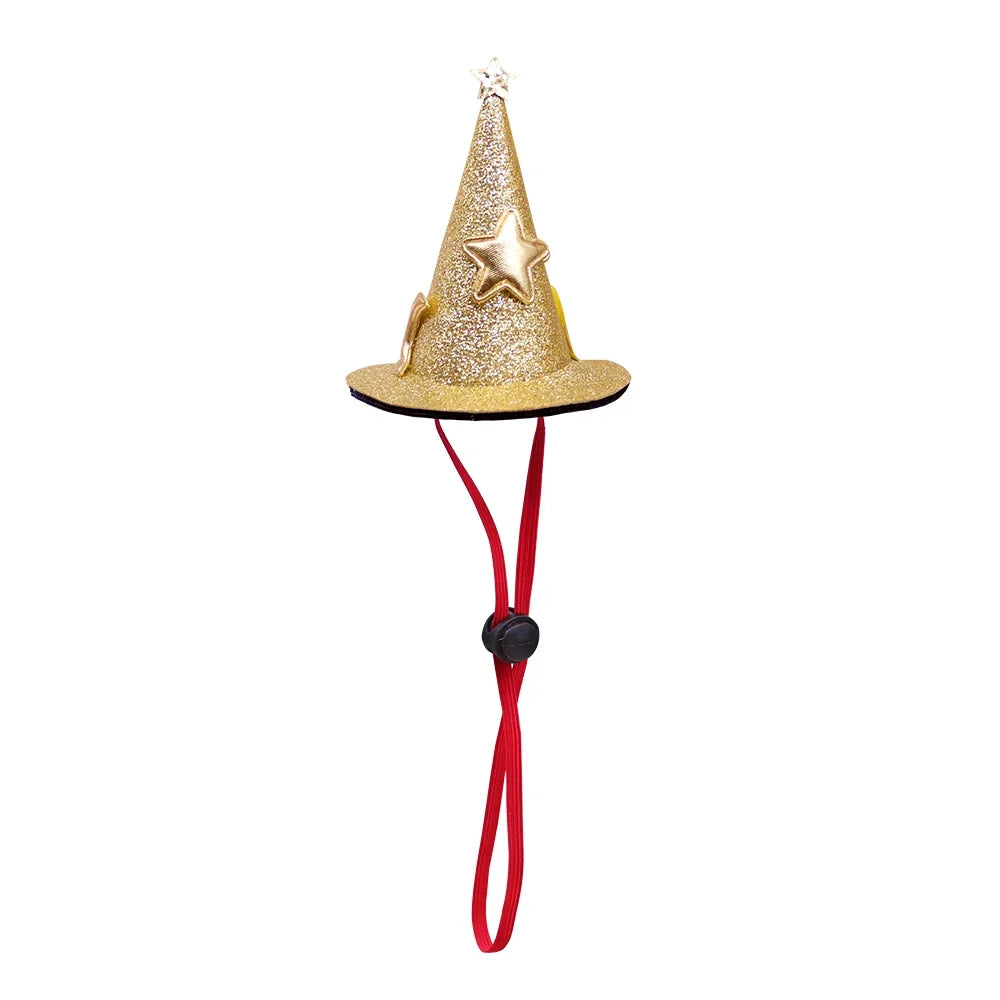 Halloween Party Dog Hat – Dog Clothes & Costumes