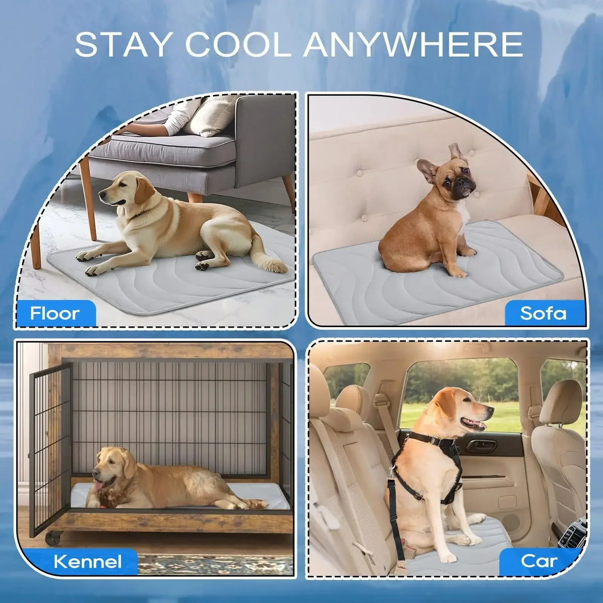 Double-Sided Gentle Wear Resistant Pet Ice - ProPawPet.com