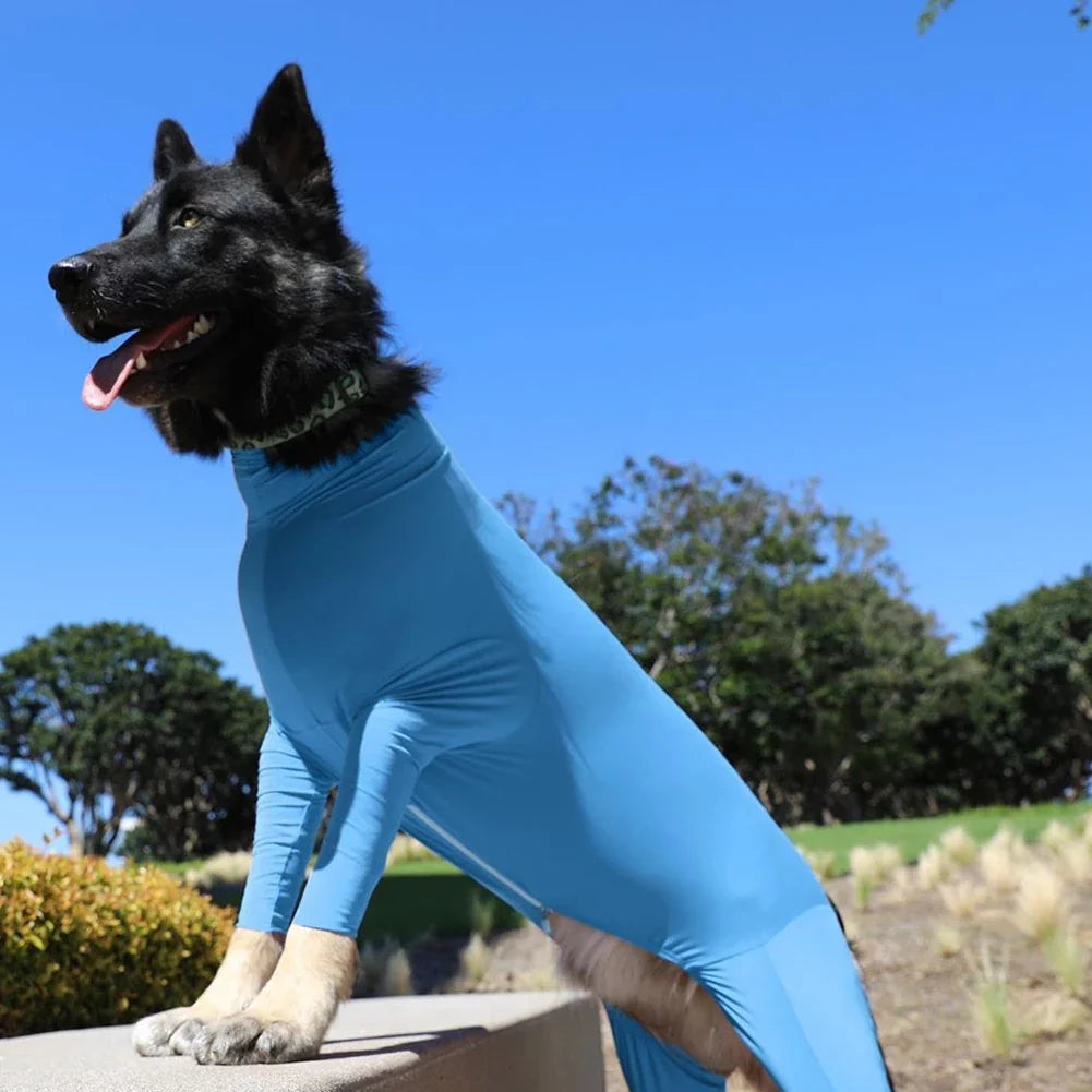 Big Dog Pajamas Stretch Pet Jumpsuit Winter - ProPawPet.com