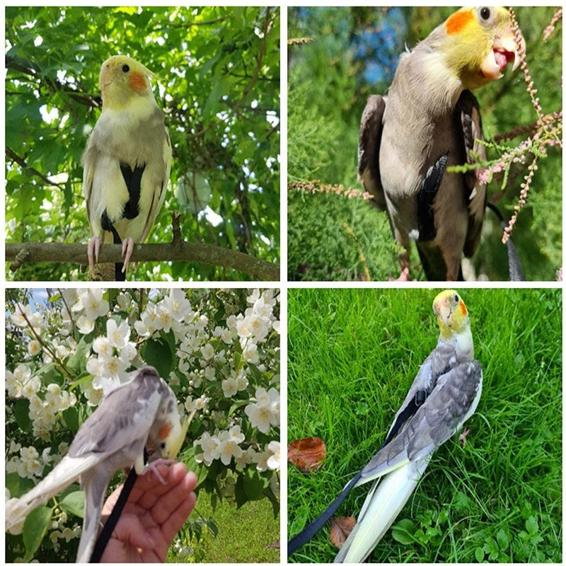 Anti-Bite Bird Harness Leash Set Parrot - ProPawPet.com