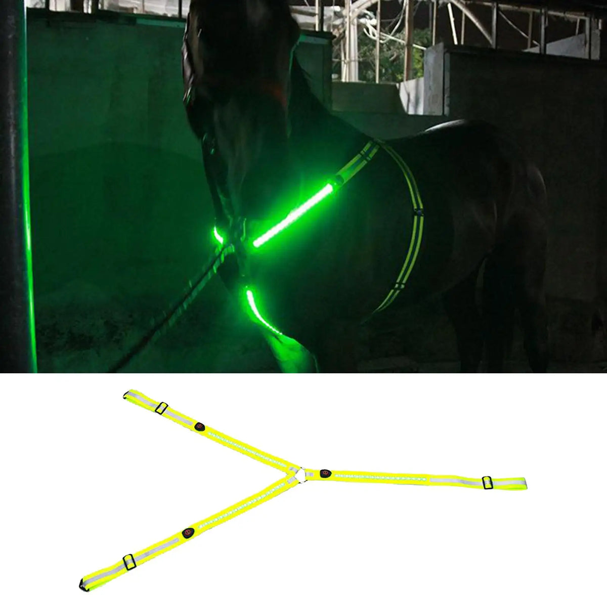 LED Luminous Horse Breast Collar Halter – 4 Colors