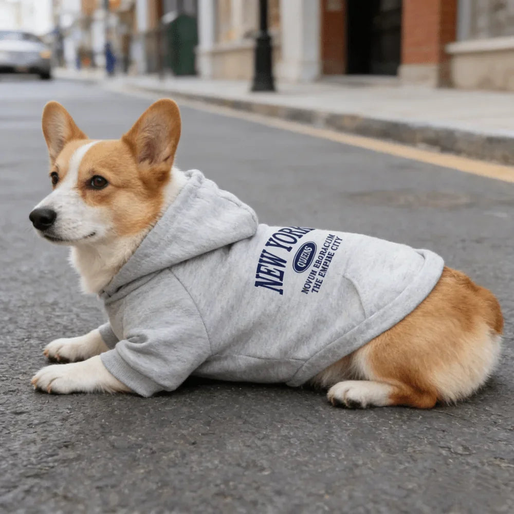 1pc Letter printed dog hoodie sweatshirt, - ProPawPet.com