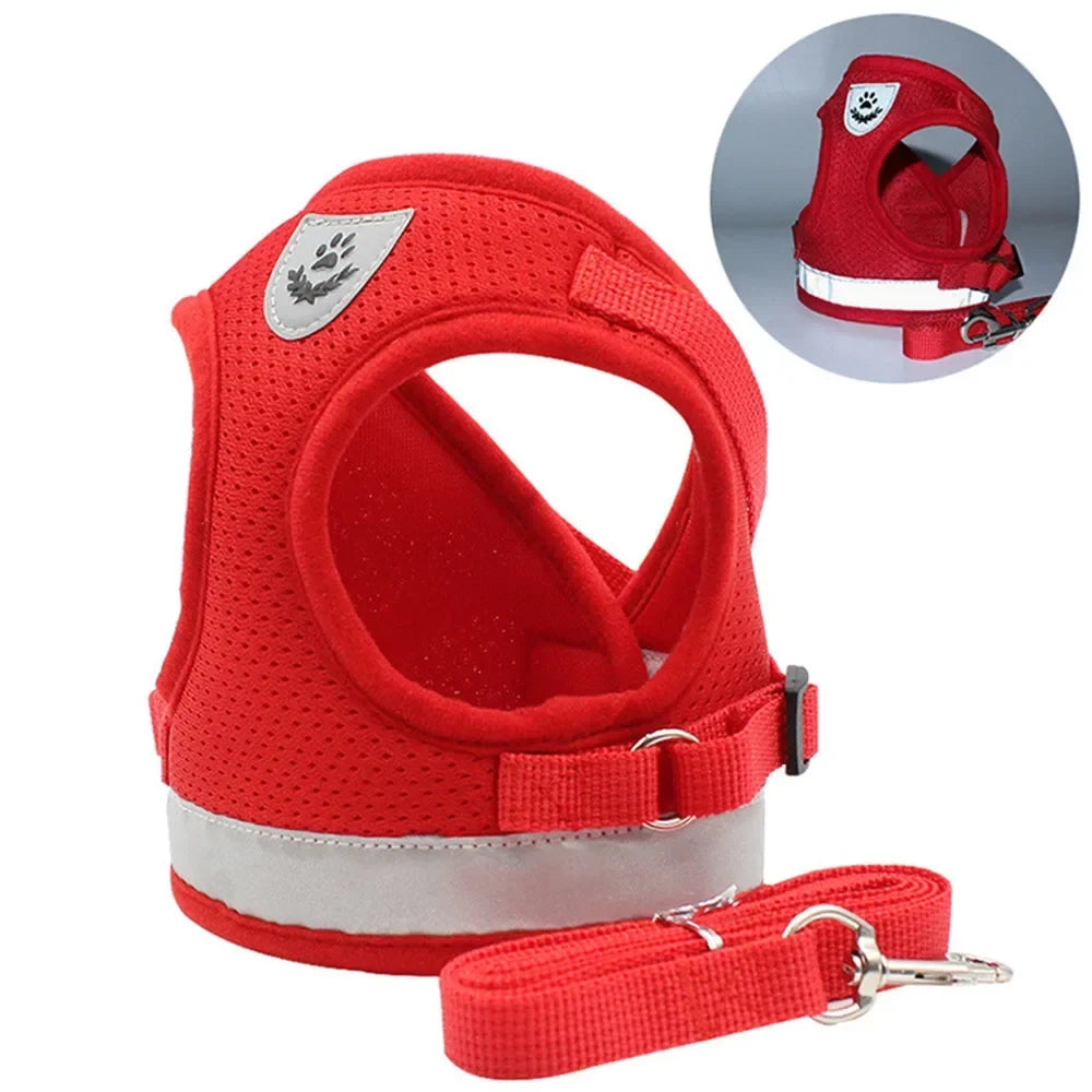 Cat Harness Lead Leash Set Adjustable - ProPawPet.com