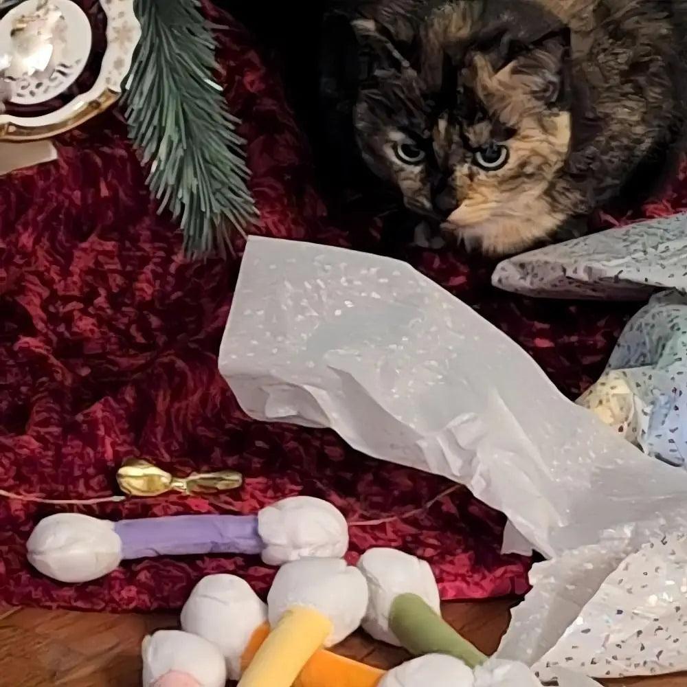 New Soft Q Tip Cat Self-Play Giant Swabs - ProPawPet.com
