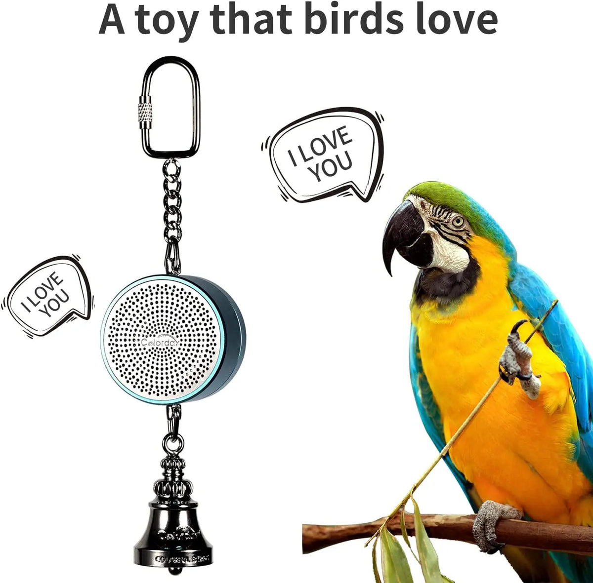 Parrot Toys to Teaching Training Bird Talking Coach, Interactive