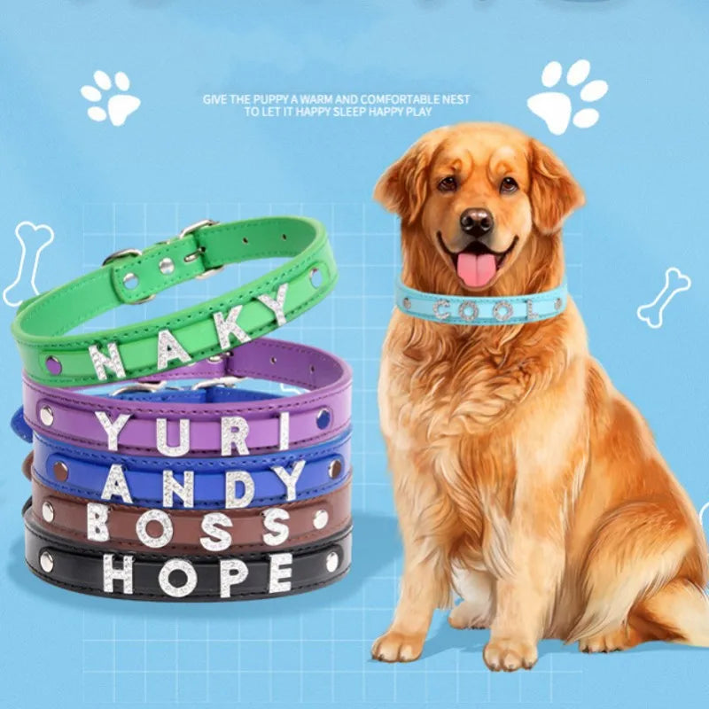 Custom Cat Dog Collar Personalized - ProPawPet.com