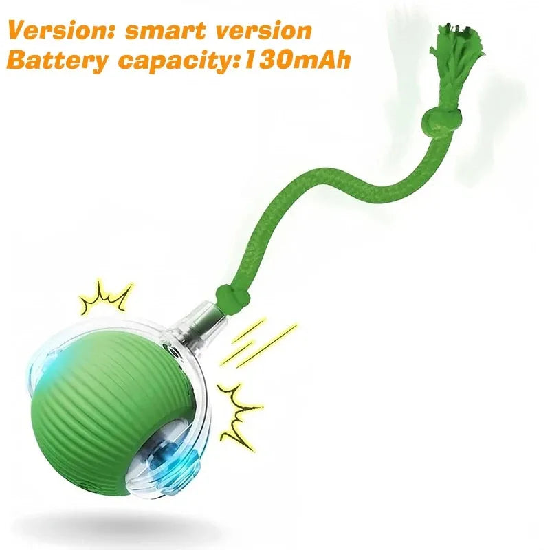Dog Interactive Ball Toy Automatic Rolling - ProPawPet.com