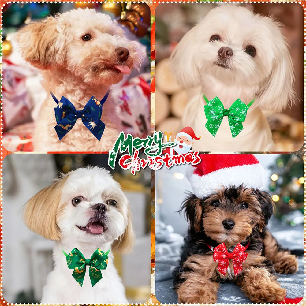 50/100PCSWinter Dog Accessories Adjustable - ProPawPet.com