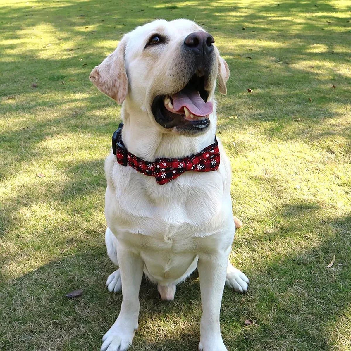 Dog Collar with Bow tie,Christmas Plaid - ProPawPet.com