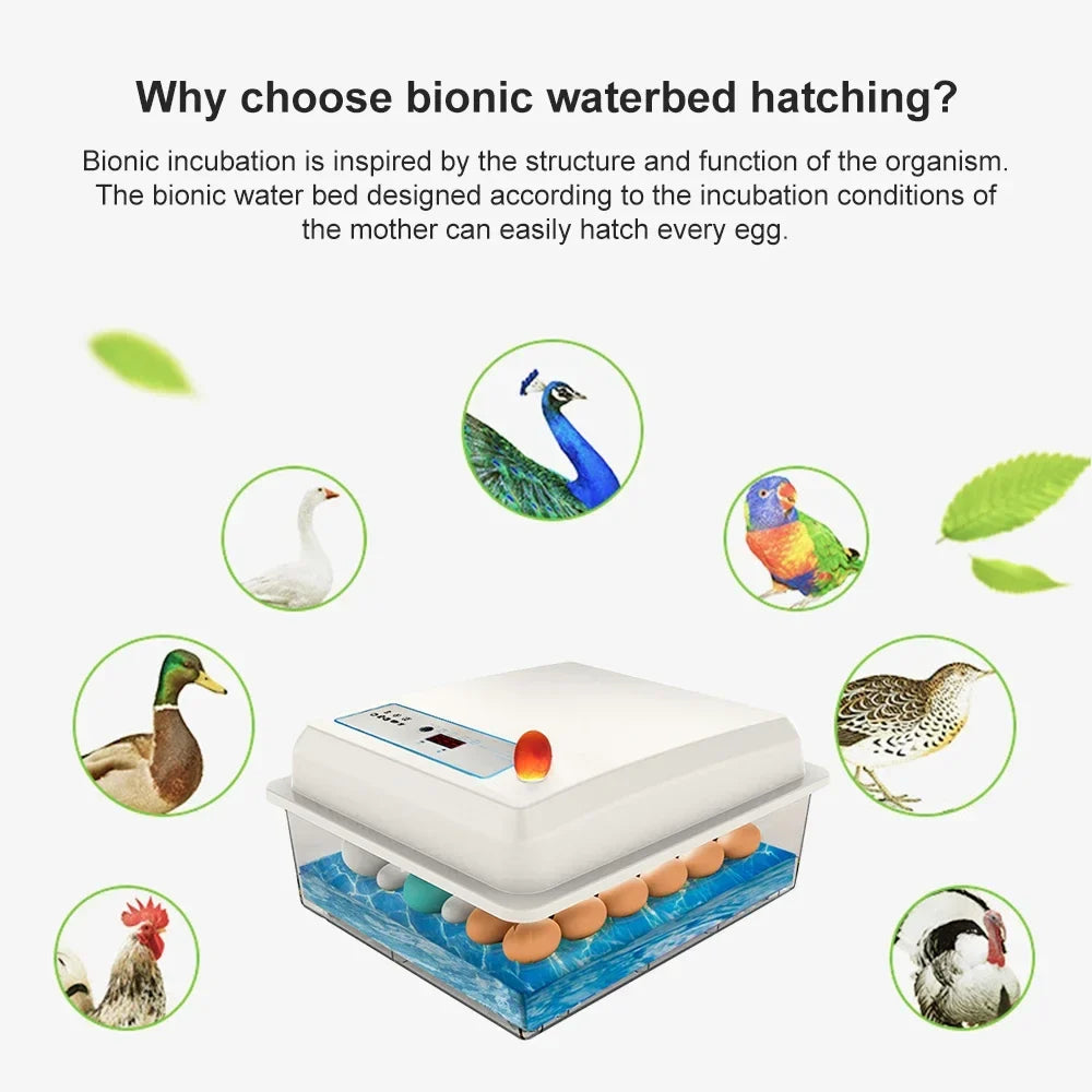 20 Eggs Incubator Set Fully Automatic - ProPawPet.com