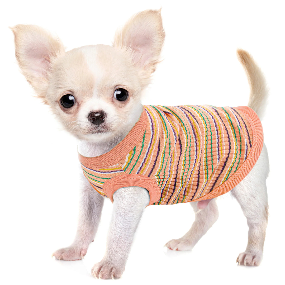 Rib Dog Shirt Vest for Small Dogs Chihuahua - ProPawPet.com