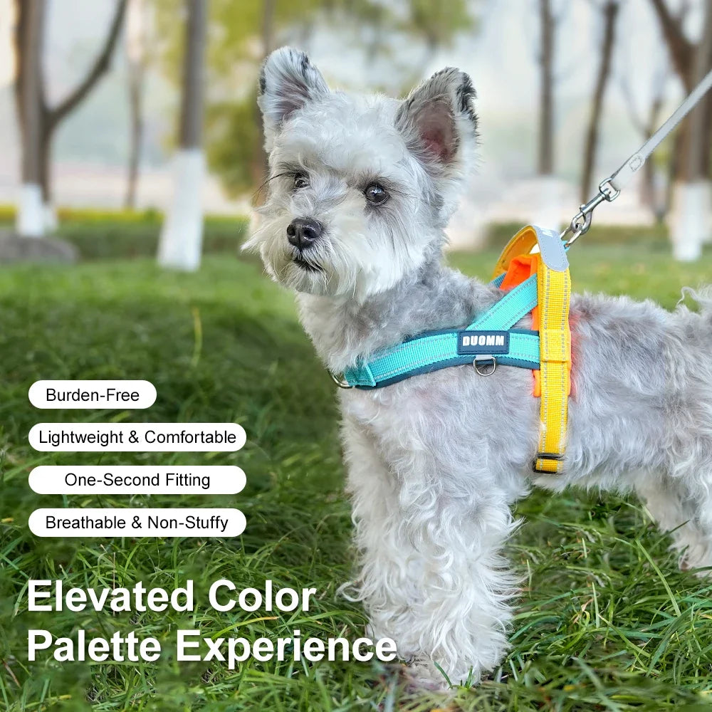 Dog Harness No Pull T-Shape Breathable - ProPawPet.com