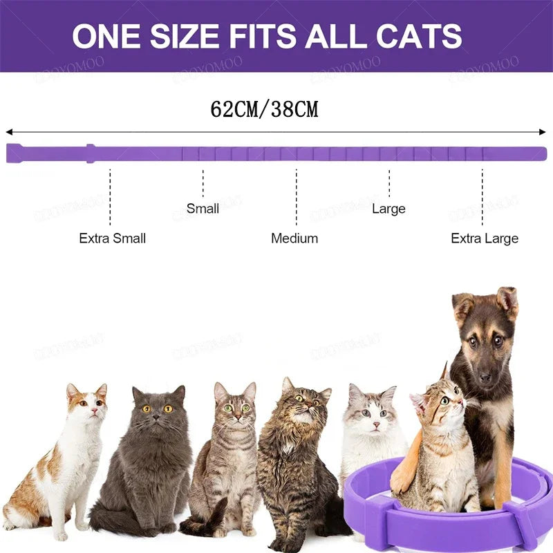 New Release Cat Dog Calming Collar Pets - ProPawPet.com