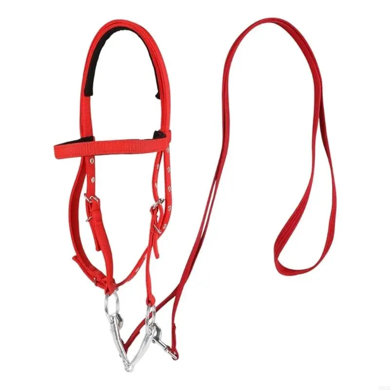 Comfortable Luxurious Leather Horse Headstall Headgear – 6 Colors