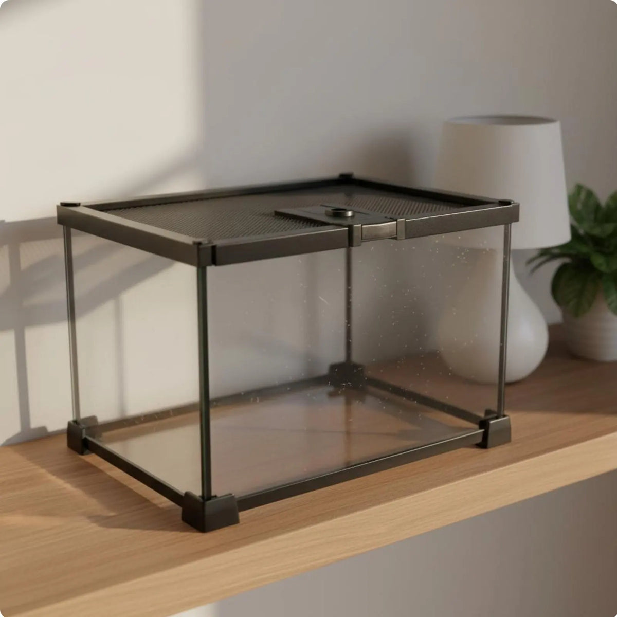 Glass Amphibian Terrarium – 8 Colors