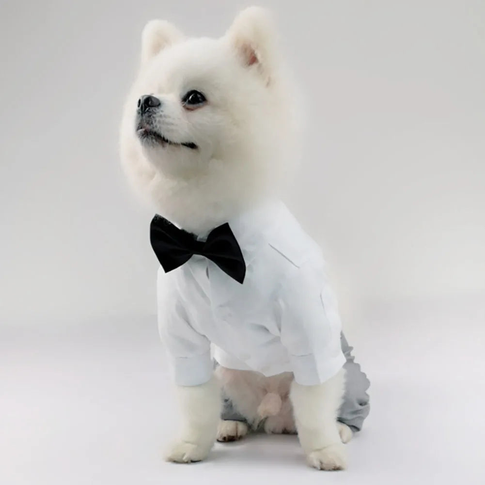 Dog Tuxedo - ProPawPet.com