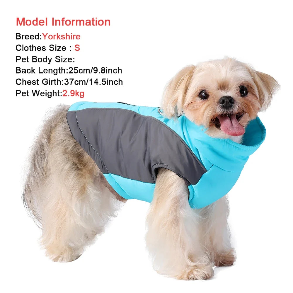 Winter Dog Jacket Warm Waterproof Clothes - ProPawPet.com