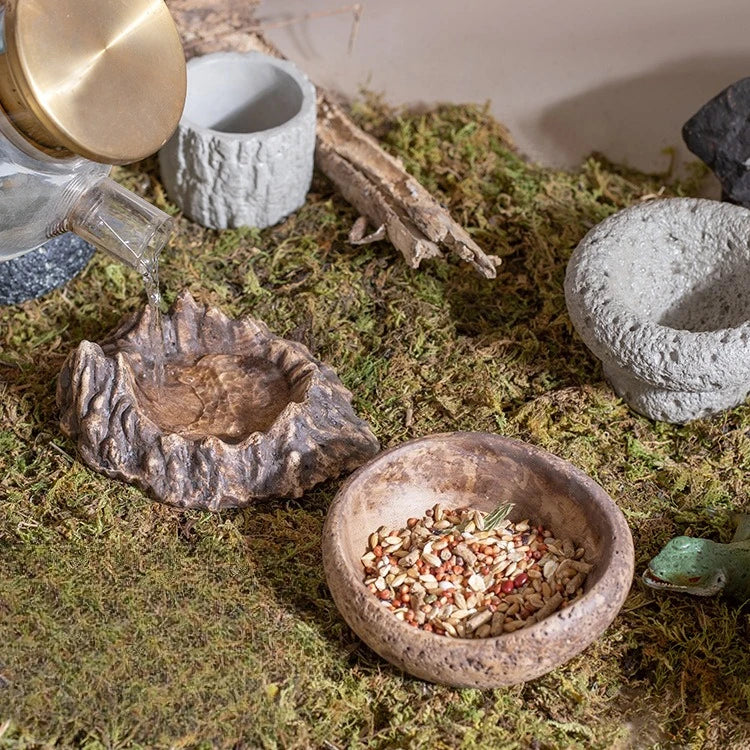 Natural Reptile Food & Water Dish - - ProPawPet.com