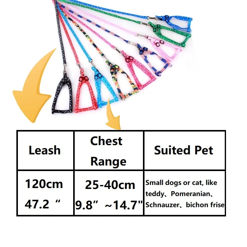Cheap Small Dog Leash Puppy Leashes Teddy - ProPawPet.com